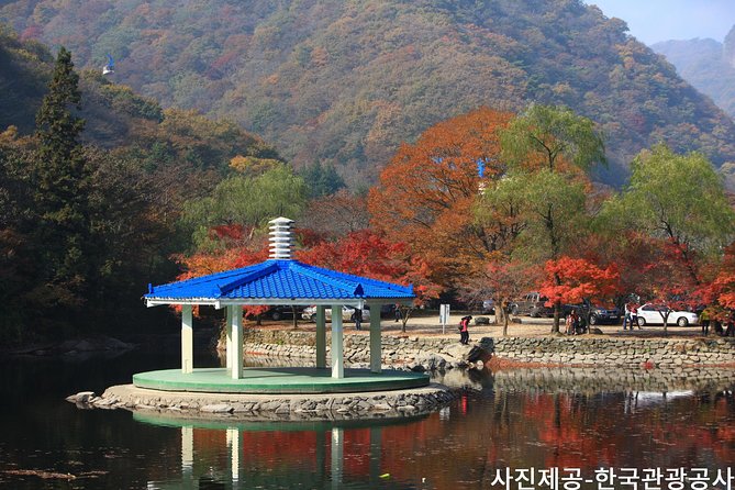 Naejangsan National Park Autumn Foliage One Day Tour from Busan - Why Naejangsan Feels Made for Fall