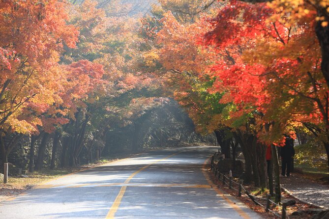 Naejangsan National Park Autumn Foliage One Day Tour from Busan - Lunch, Timing, and Staying Comfortable
