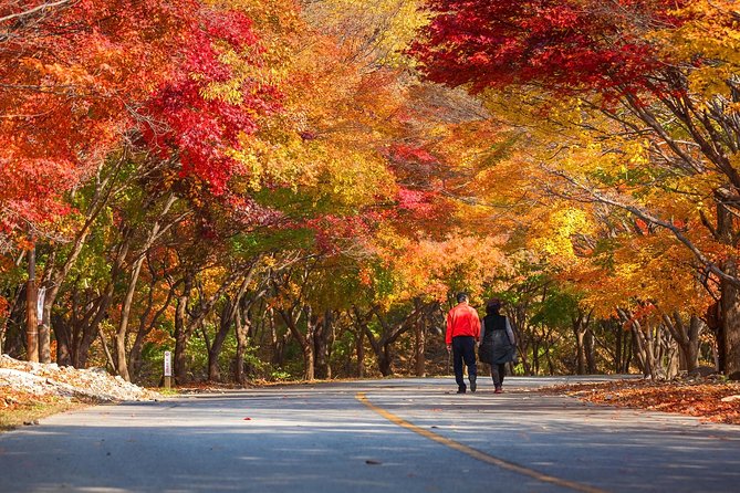 Naejangsan National Park Autumn Foliage One Day Tour from Busan - Guides Make a Big Difference on Long Days