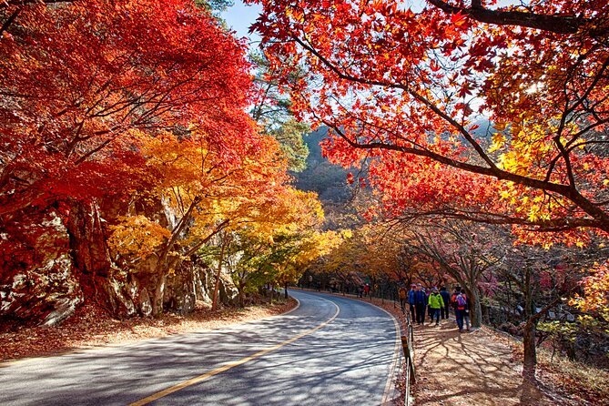 Naejangsan National Park Autumn Foliage One Day Tour from Busan - Group Size: Big Enough to Run Smoothly, Not So Big You Get Lost