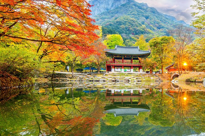 Naejangsan National Park Autumn Foliage One Day Tour from Busan - Price and Value: Is $62 a Smart Deal?