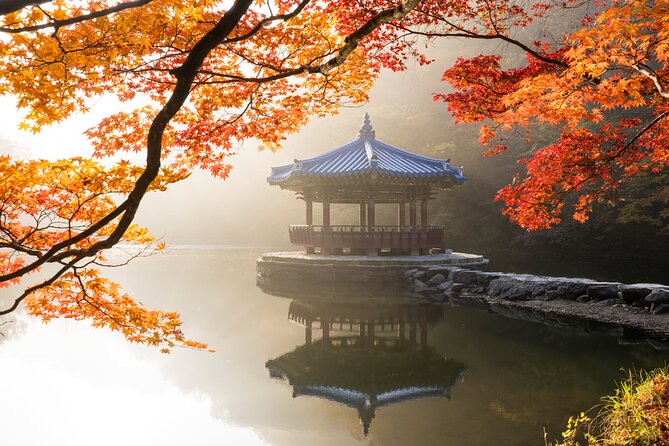 Naejangsan National Park Autumn Foliage One Day Tour from Seoul - Naejangsan National Park Autumn Leaves and Naejangsa Temple