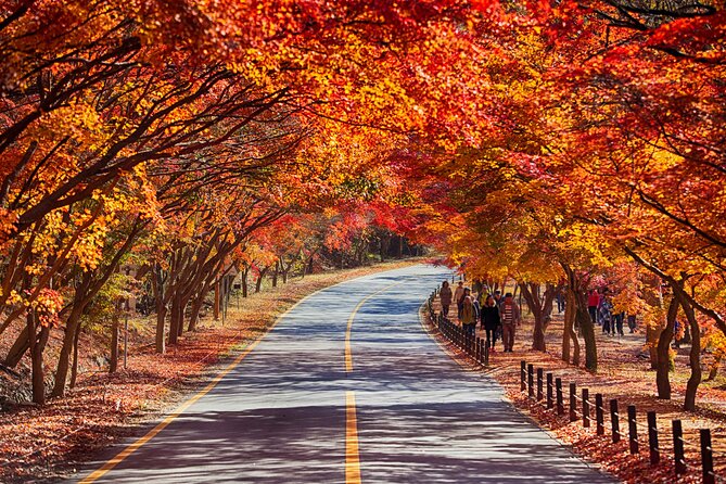 Naejangsan National Park Autumn Foliage One Day Tour from Seoul - Naejangsa Temple Stop: Yeongeunjosa’s 636-Era Connection