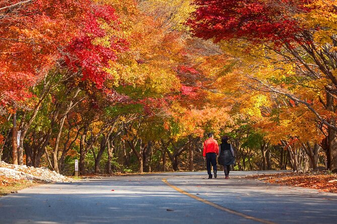 Naejangsan National Park Autumn Foliage One Day Tour from Seoul - Price, Inclusions, and Whether $46.29 Feels Like a Deal