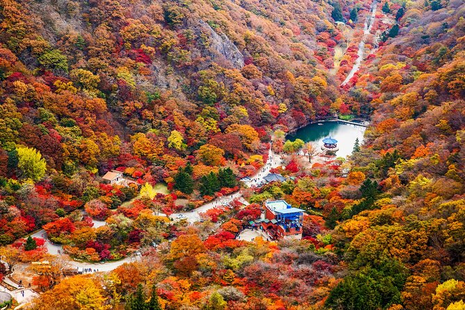 Naejangsan National Park Autumn Foliage One Day Tour from Seoul - Tradeoffs: Long Coach Hours, Traffic Risk, and Planning Your Day