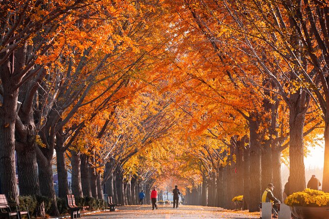 Naejangsan National Park Autumn Foliage One Day Tour from Seoul - Should You Book This Naejangsan Autumn Foliage One-Day Tour?
