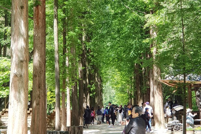Nami Island and Petite France - Filming location - Key things I’d plan for on this Nami Island and Petite France day