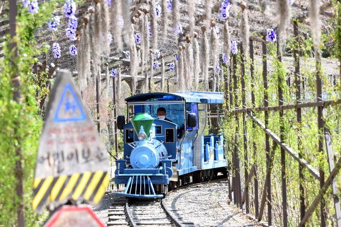 Nami Island and Petite France & Italian Village Day Trip from Seoul - Getting Out of Seoul: Transport Comfort and Group Size