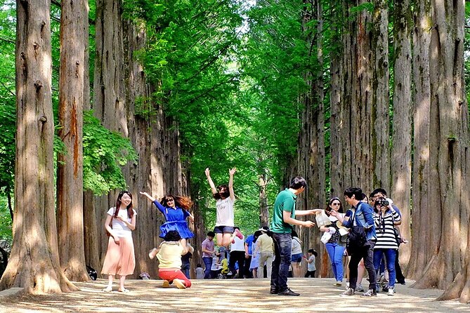 Nami Island, Cable Car, Garden of Morning Calm Panoramic Tour - Nami Island Winter Sonata Stops, Walking Time, and Crowds