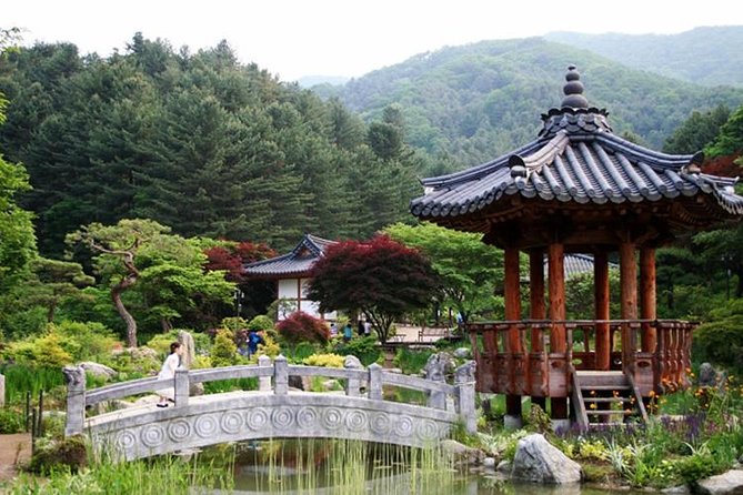 Nami Island, Cable Car, Garden of Morning Calm Panoramic Tour - Garden of Morning Calm: How the Themed Layout Helps You Walk Better