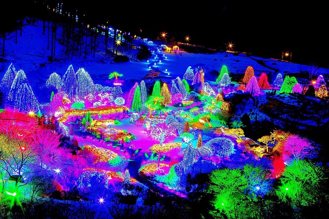 Nami Island, Cable Car, Garden of Morning Calm Panoramic Tour - Cheongha Korea Ginseng Museum Stop: A Cultural Break with Shopping Potential