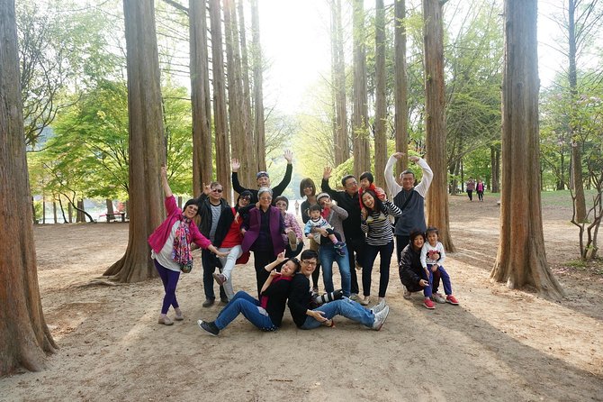 Nami Island from Seoul: Petit France and Garden of Morning Calm - Nami Island for calm river paths and big-photo moments
