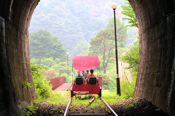 Nami Island & Garden of Morning Calm & Gangchon Railbike Tour - Garden of Morning Calm: winter lights, photo timing, and walking comfort