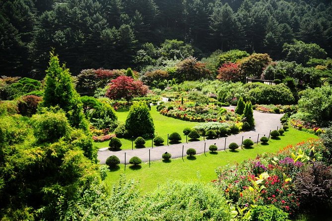 Nami Island& Petite France& Garden of Morning Calm& Italian Village One-Day Tour - Nami Island (about 2 hours): tree-lined paths and Winter Sonata fame