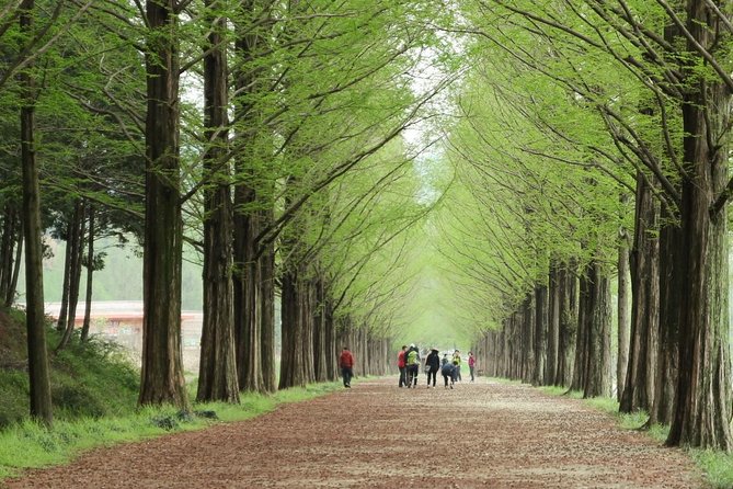 Nami Island& Petite France& Garden of Morning Calm& Italian Village One-Day Tour - Italian Village: a fourth themed stop added to the same day