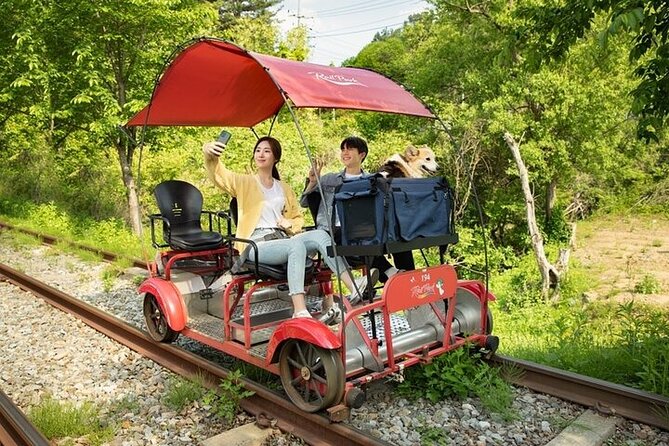 Nami Island & Petite France & Italian Village & Gangchon Rail Bike One-Day Tour - Lunch and personal spending: plan your budget like it is part of the trip