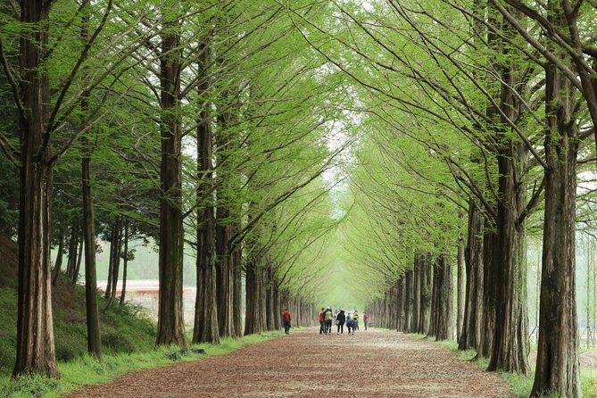 Nami Island & Petite France with Italian Village One-Day Tour - How This Nami Island and Petite France Tour Works (and Why It Feels Easy)