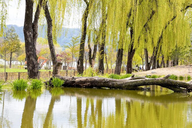 Nami Island & Petite France with Italian Village One-Day Tour - Who This Tour Fits Best (and Who Might Want Something Different)