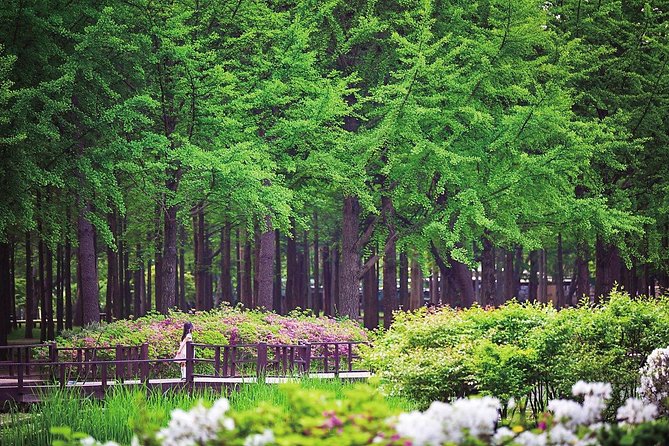 Nami Island & Petite France with Italian Village One-Day Tour - Price and Value: What $58.10 Gets You