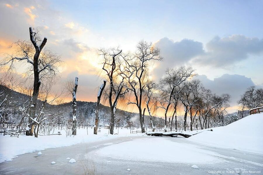 Nami Island, Railbike & Alpaca Garden Day Trip from Seoul - FAQ