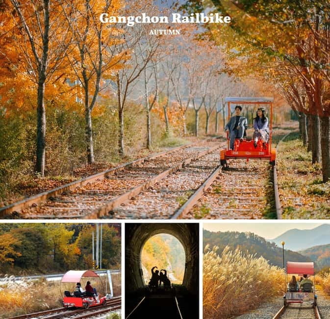 Nami Island, Railbike & Alpaca Garden Day Trip from Seoul - Why this Seoul-to-Gangwon fall day feels easy