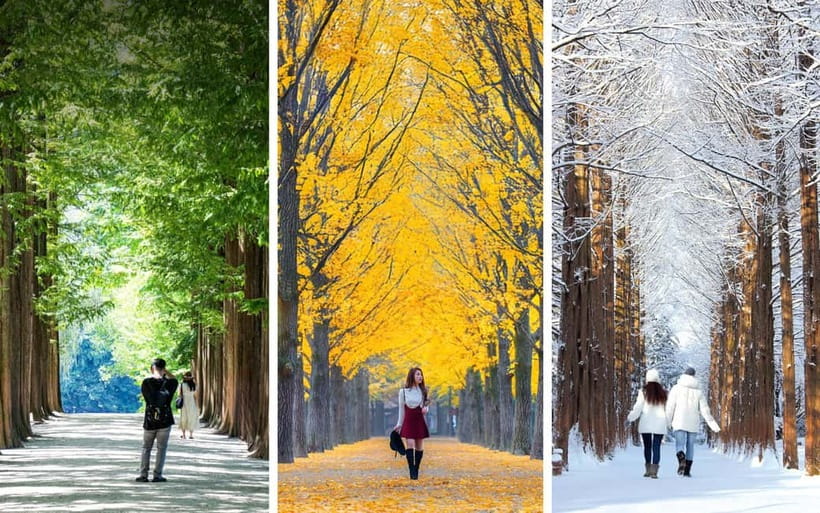 Nami Island, Railbike & Alpaca Garden Day Trip from Seoul - Practical tips for a smooth day trip from Seoul