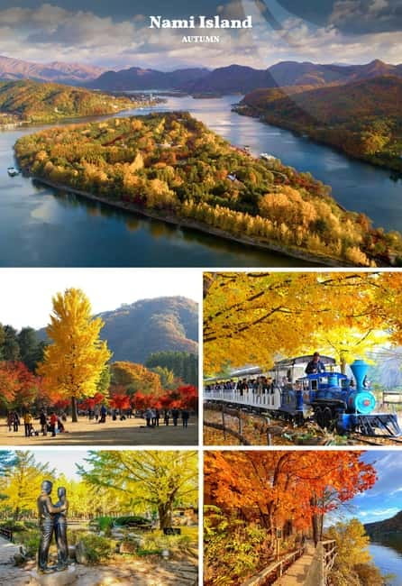 Nami Island, Railbike & Alpaca Garden Day Trip from Seoul - Should you book this Nami Island, Railbike, and Alpaca Garden tour?