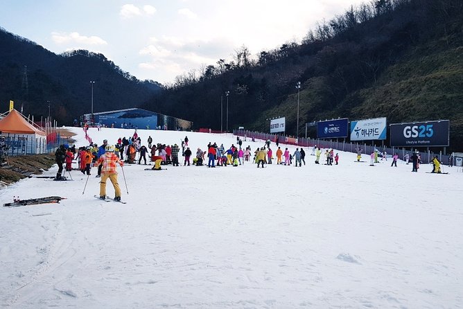Nami Island + Ski Tour - Elysian Gangchon plus Nami Island, in one practical loop