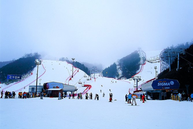 Nami Island + Ski Tour - Ski resort stop: rental setup, snow time, and what your option changes