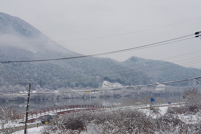 Nami Island + Ski Tour - Nami Island: one hour that works if you plan your priorities