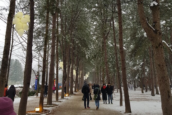 Nami Island + Ski Tour - Transfers, a shopping center stop, and keeping your day comfortable