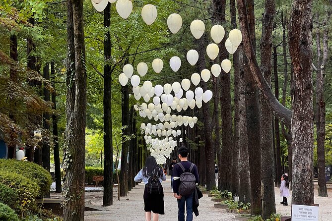 Nami Island Trip with Petite France & Italian Village and Gangchon Rail Bike - What makes the tour feel smooth, coach comfort to English support