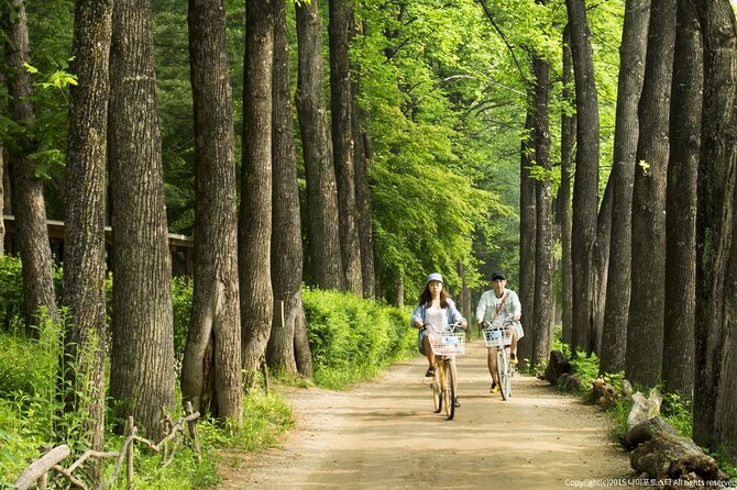 Nami Island Trip with Petite France & Italian Village and Gangchon Rail Bike - Timing strategy: how to get the most from short village stops