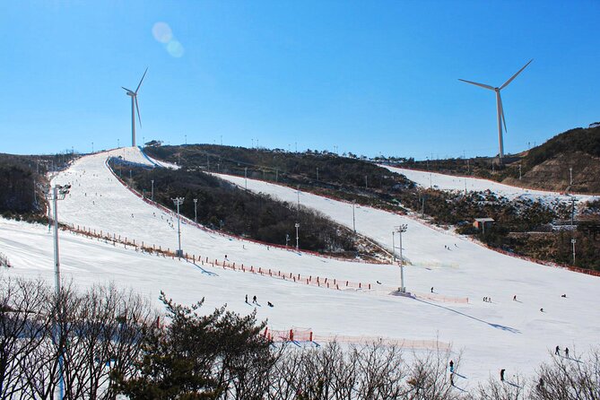 [OFFICIAL] Eden Valley Resort Winter Ski Day Tour from Busan - Gear and cold-weather costs: plan for gloves, and for optics like goggles