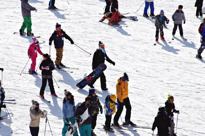 [OFFICIAL] Eden Valley Resort Winter Ski Day Tour from Busan - Who should book this Eden Valley Winter Ski Day Tour