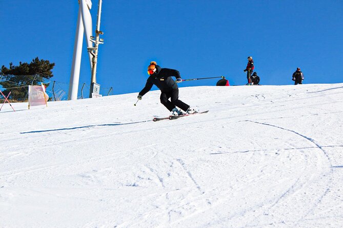 [OFFICIAL] Eden Valley Resort Winter Ski Day Tour from Busan - Choosing your package: Ski, Snowboard, Sled, or Sightseeing