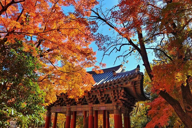 Old Korea Thousand History Tour of Gyeongju from Busan - From Busan Pickup Points to a Late Return