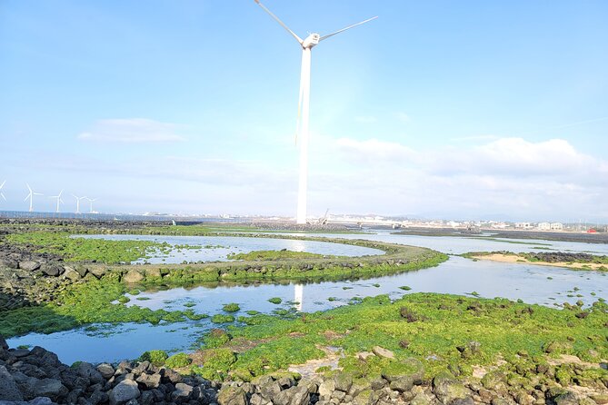 One day private Customized jeju tour - All Area in jeju island - Jeongbang Waterfall and Oedolgae: Sea Meets Volcanic Drama