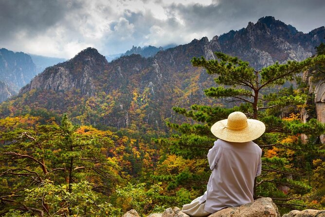 One-Day Tour for stunning Mt.Seoraksan from Seoul - Why this Seoraksan tour is worth your time