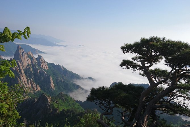 One-Day Tour for stunning Mt.Seoraksan from Seoul - Private Pickup, Comfort, and the Seoul Traffic Reality