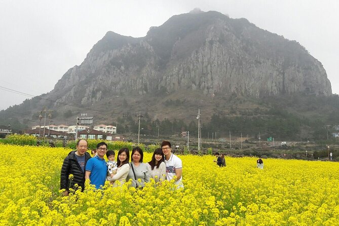 Package tour of All areas of Jeju Island-(East &South &West) - O’sulloc Tea Museum: the calm break that makes the day work