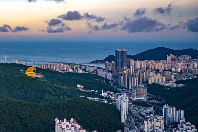 [Photography Tour] Busan Night Tour (Max. 7 Pax) - Meeting at Jagalchi Station and staying un-stressed