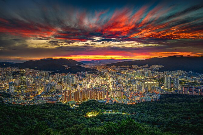 [Photography Tour] Busan Night Tour (Max. 7 Pax) - Hwangnyeongsan Mountain: port and city lights from above