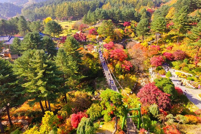 Pocheon Art Valley, Garden & Fruit Picking Day Tour from Seoul - Garden of Morning Calm: a private garden with serious photo power (seasonal)