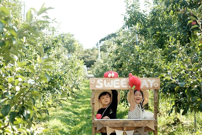 Pocheon Art Valley, Garden & Fruit Picking Day Tour from Seoul - Fruit farm time: strawberries in the cold season, apple experiences at the other end