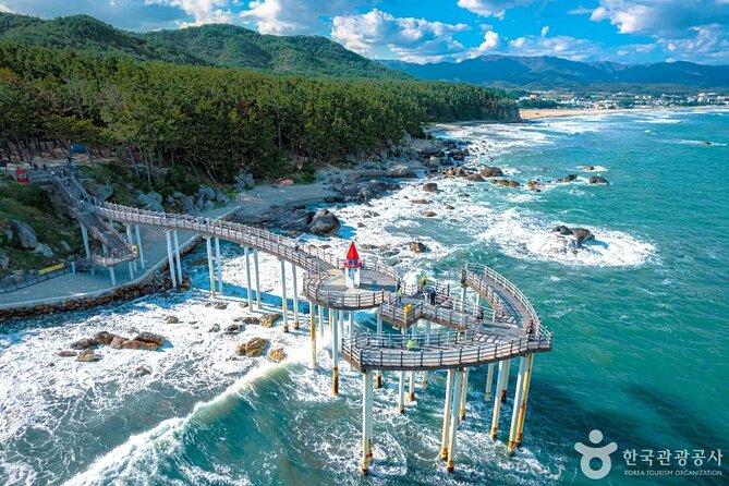 Pohang Highlights & Private Tour with a Licensed guide - Stop 2: Guryongpo Japanese House Street, Historic Streets You Can Walk