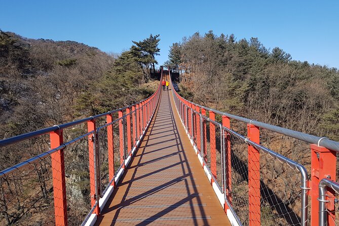 Premium Private DMZ Tour & (Suspension Bridge or N-Tower) include lunch - Private Pickup, Then the DMZ Rules Kick In