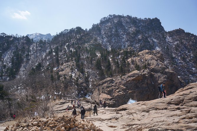 [Premium Private Tour] Mt Seorak & East Sea or Nami island from Seoul - Lunch stop that keeps the day moving