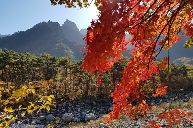 [Premium Private Tour] Mt Seorak & East Sea or Nami island from Seoul - Dongmyeong Port Lighthouse and the Sokcho fish market