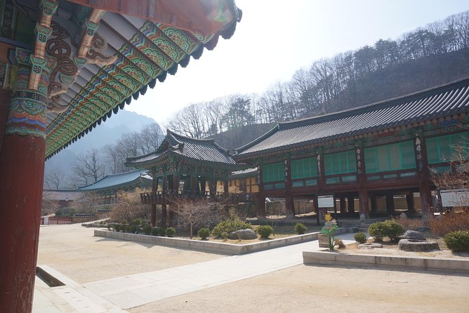 [Premium Private Tour] Mt Seorak & East Sea or Nami island from Seoul - Private guides can change the whole experience